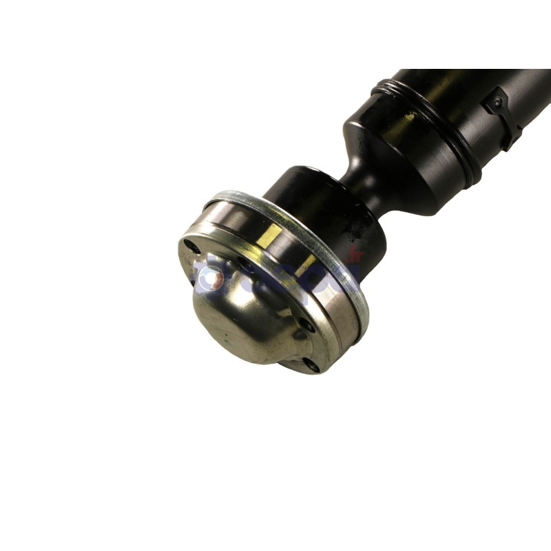 4254600-D_1.jpg