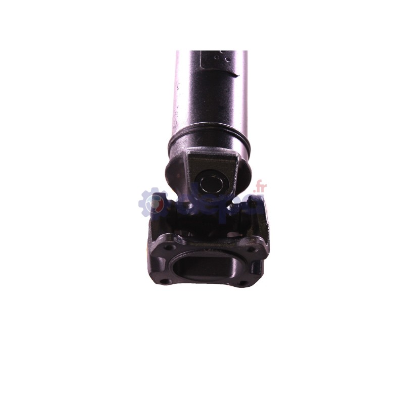 4780450-C_1.jpg