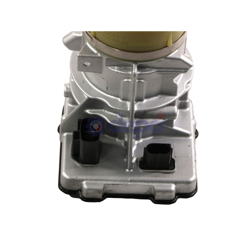 PAE1202-B_1.jpg